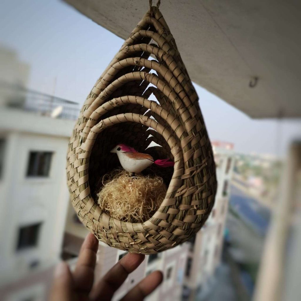 showpiece, bird nest