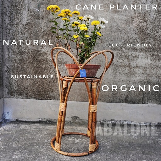 organic trendy cane planter or plant stand for balcony and indoors
