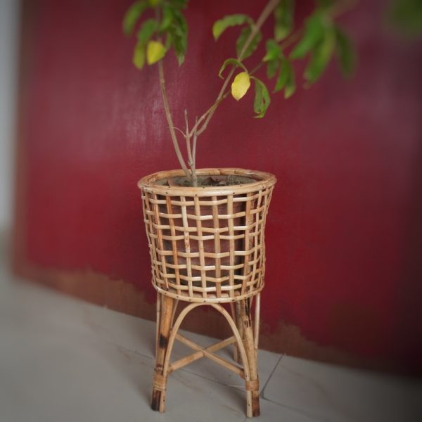 organic trendy cane planter or plant stand for balcony and indoors