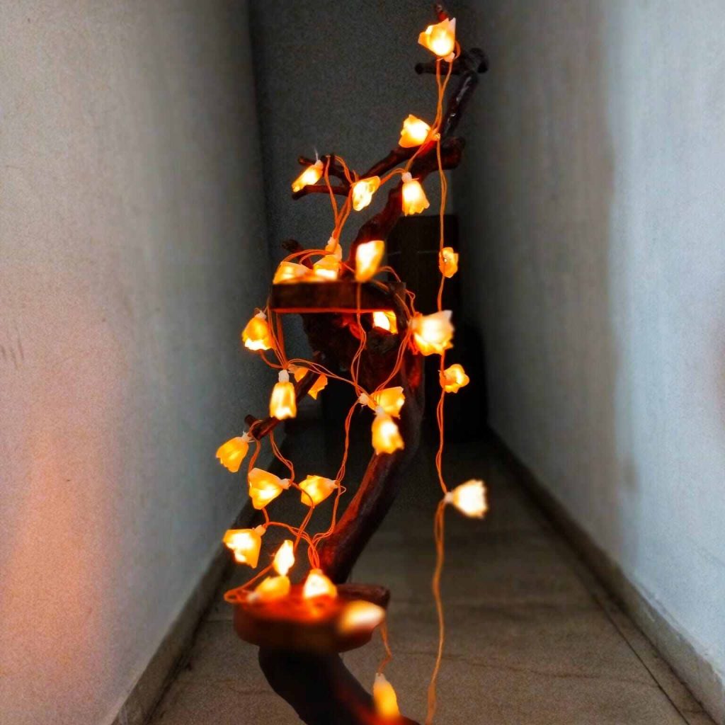 lights, Diwali lights, Christmas lights