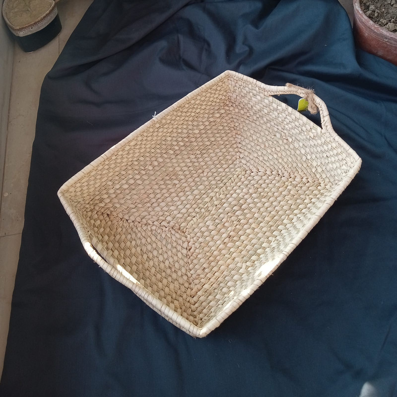 a tray with handle