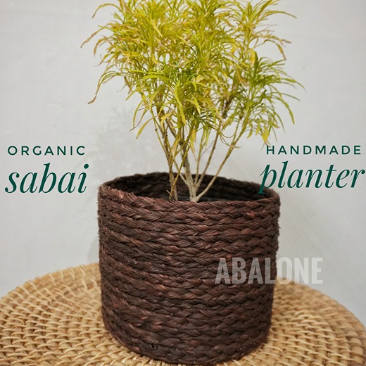 a plant in a handmade sabai planter
