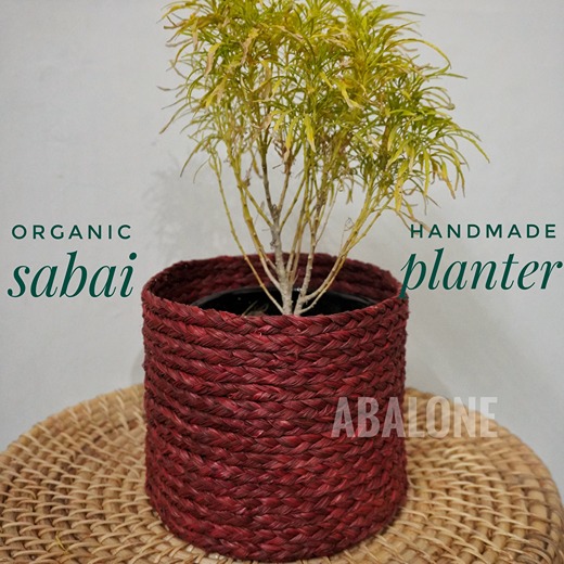 a plant in a handmade sabai grass planter
