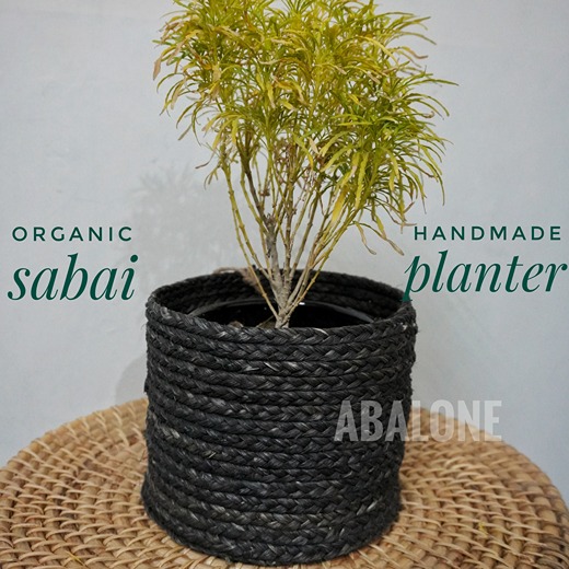 a plant in a sabai planter or basket