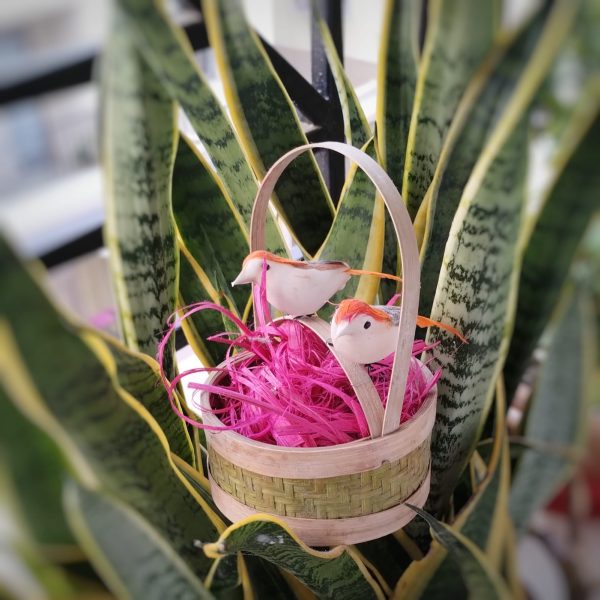 basket or bird basket for gift or home decoration