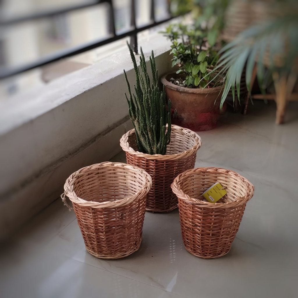 wicker planter or wicker basket